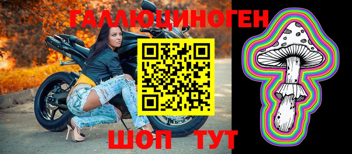 где можно купить наркотик  Галлюциногенные грибы Psilocybe  Вход с VPN  Шуя 