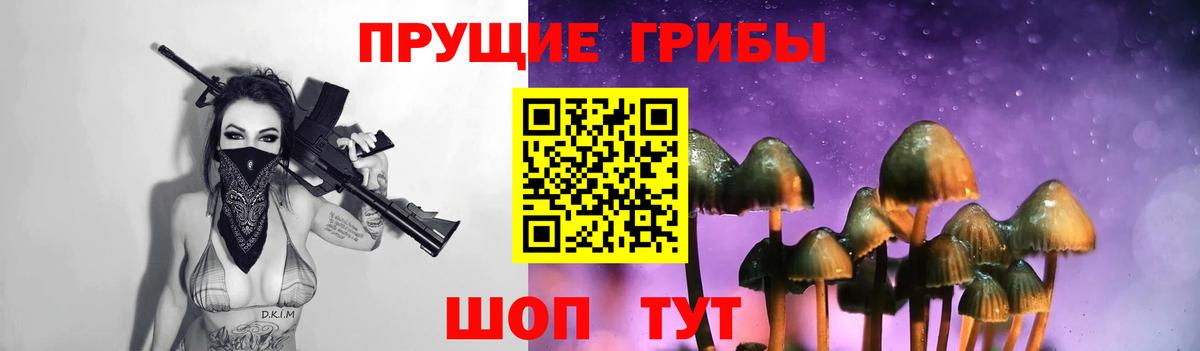 Псилоцибиновые грибы ЛСД Шуя